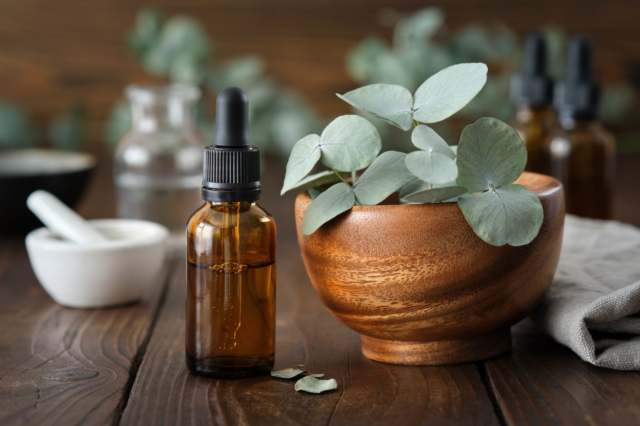 Eucalyptus Plant and Essential Oil